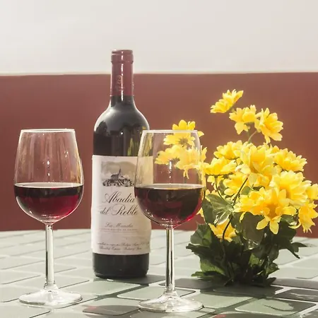 North Dreams Apartment Icod De Los Vinos